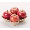 Tray en pulpe pour 4 fruits - brun - 155x135x20mm