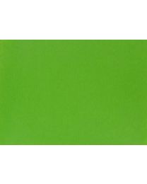 15010405 - PAP.CADEAU kraft brun couleur vert clair 50cmx200m