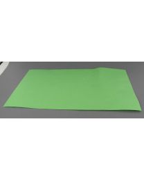 42010002 - Papier color rectangulaire VERT 200x300mm - CP200300G