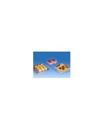 62010008 - RPET patisseriedoos met scharnierdeksel ventilerend PATIPACK 10,1BC50 - transparant - INT 180x85x50mm