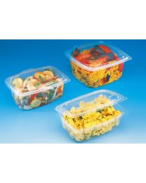 Container ONDIPACK scharnierdeksel